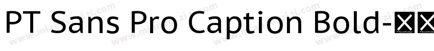 PT Sans Pro Caption Bold字体转换